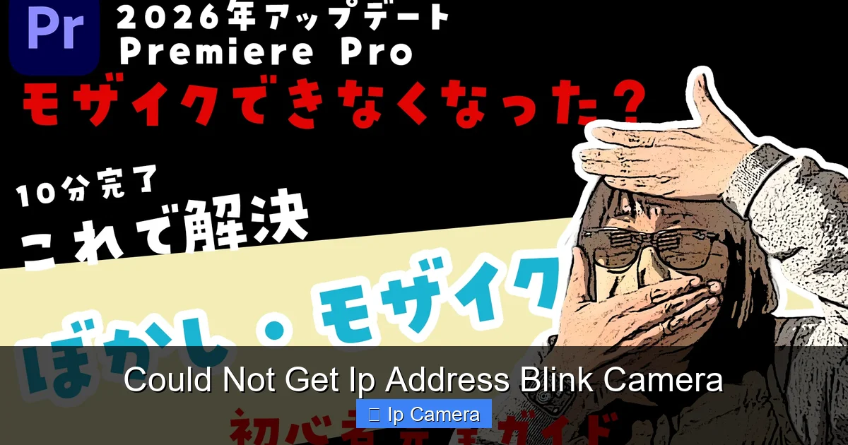Could Not Get Ip Address Blink Camera