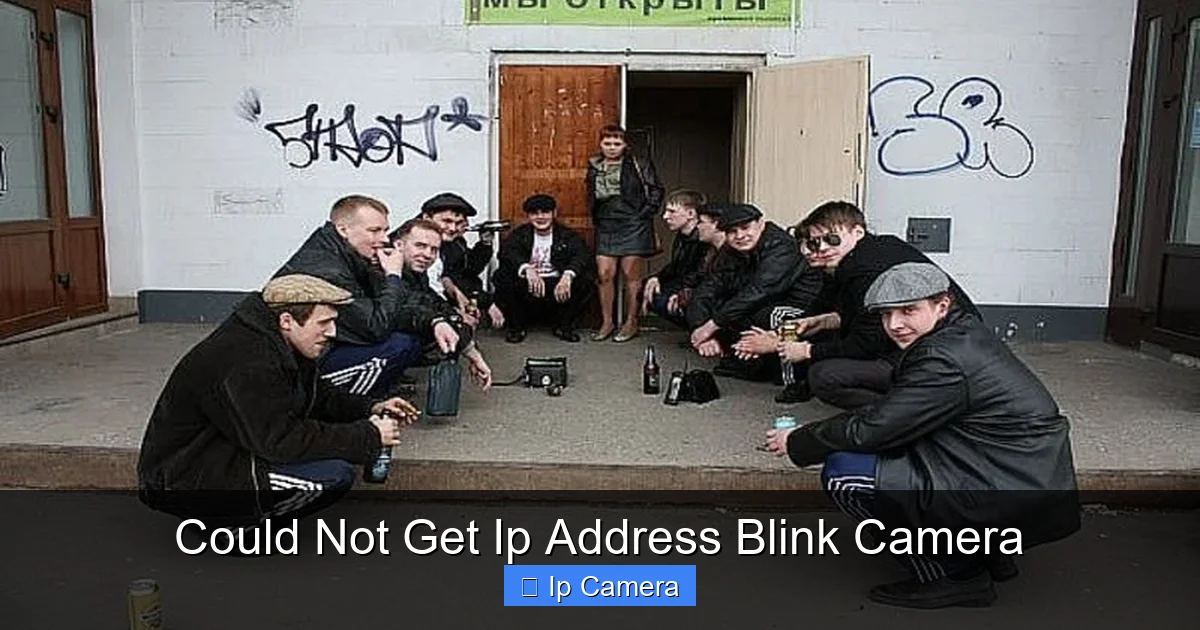 Could Not Get Ip Address Blink Camera