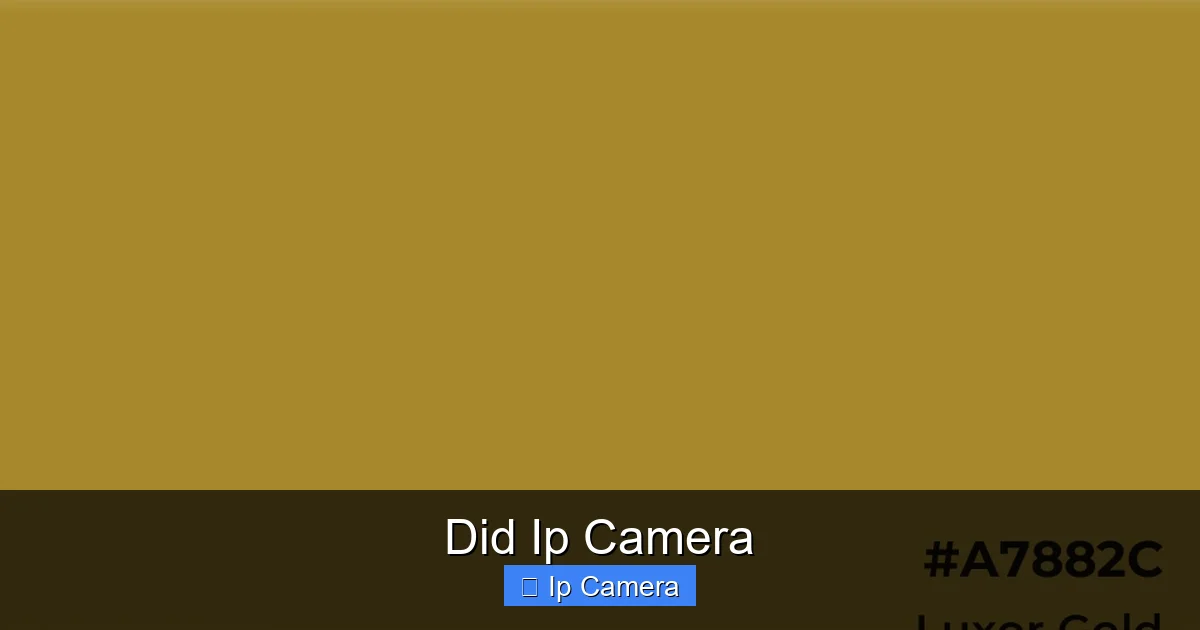 Did Ip Camera