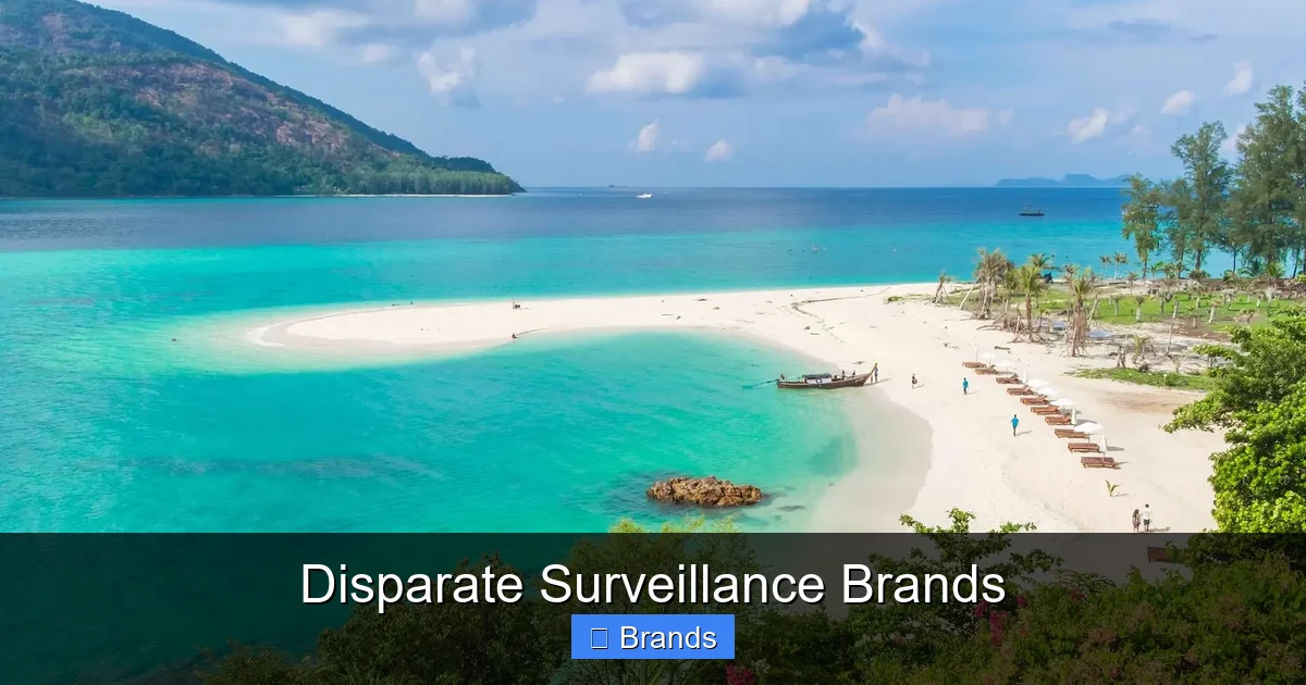 Disparate Surveillance Brands