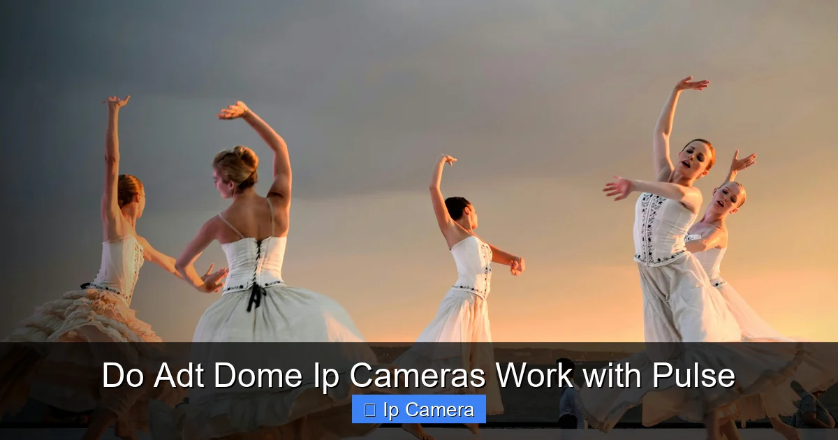 Do Adt Dome Ip Cameras Work with Pulse