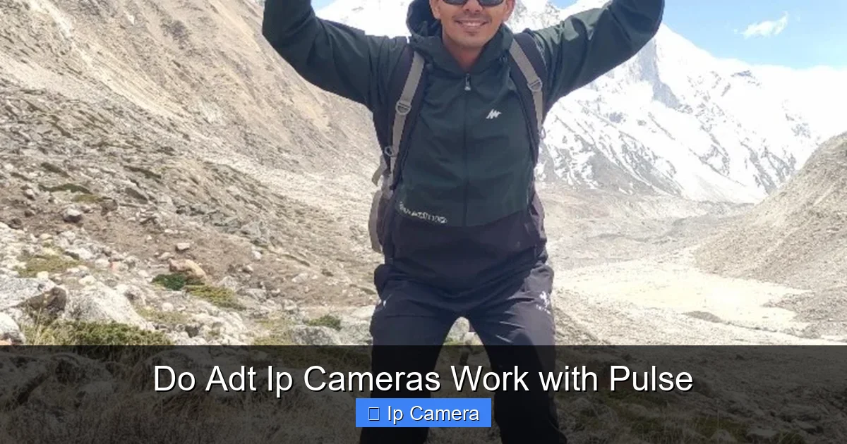 Do Adt Ip Cameras Work with Pulse