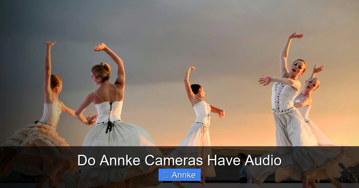 Do Annke Cameras Have Audio
