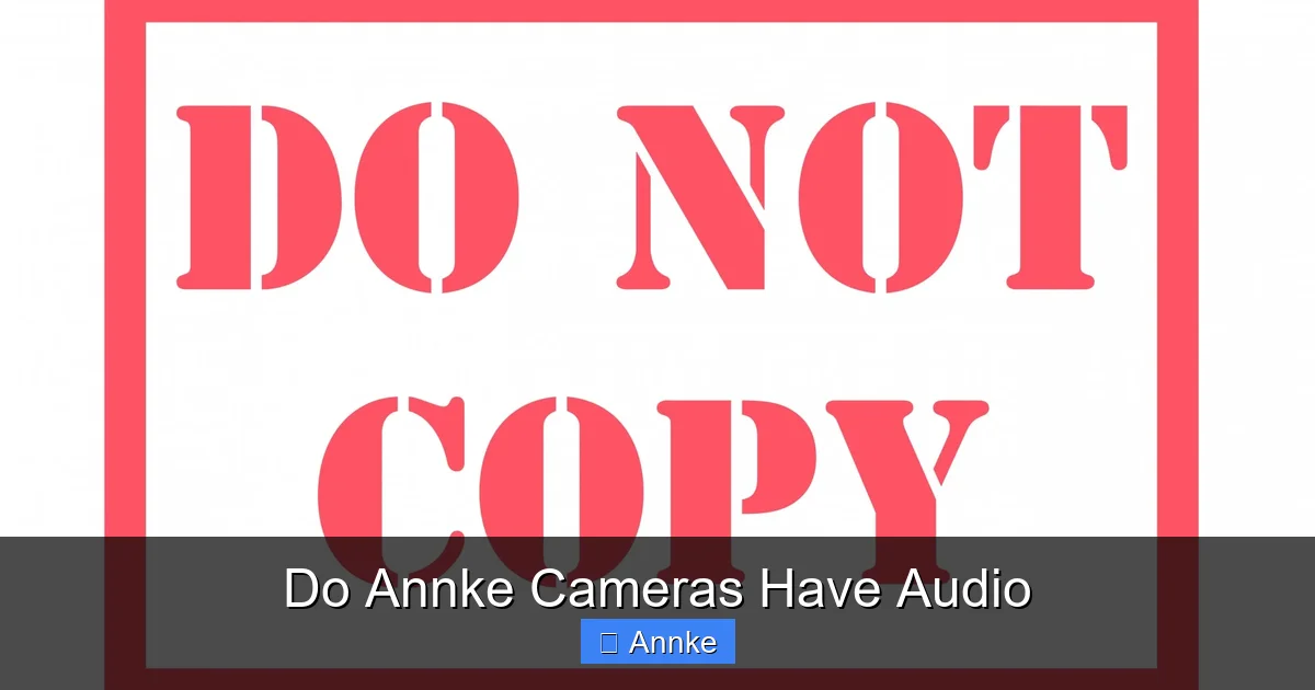 Do Annke Cameras Have Audio