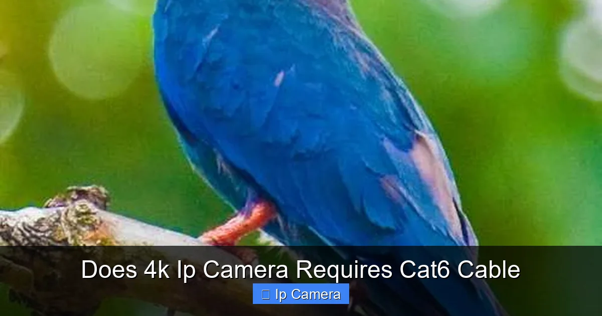 Does 4k Ip Camera Requires Cat6 Cable