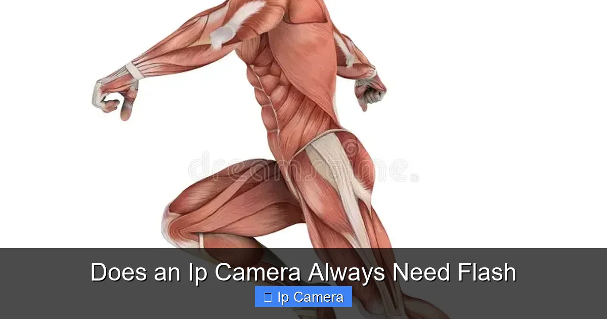 Does an Ip Camera Always Need Flash