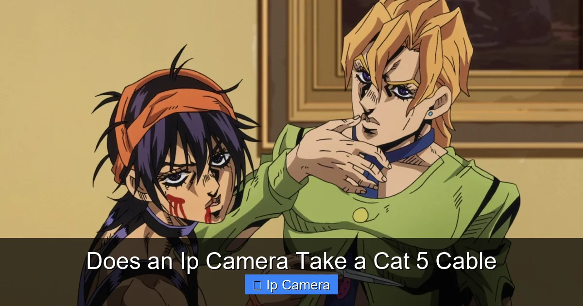 Does an Ip Camera Take a Cat 5 Cable