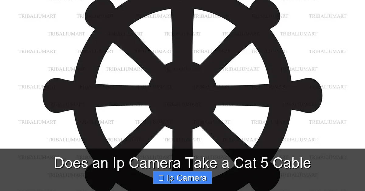 Does an Ip Camera Take a Cat 5 Cable