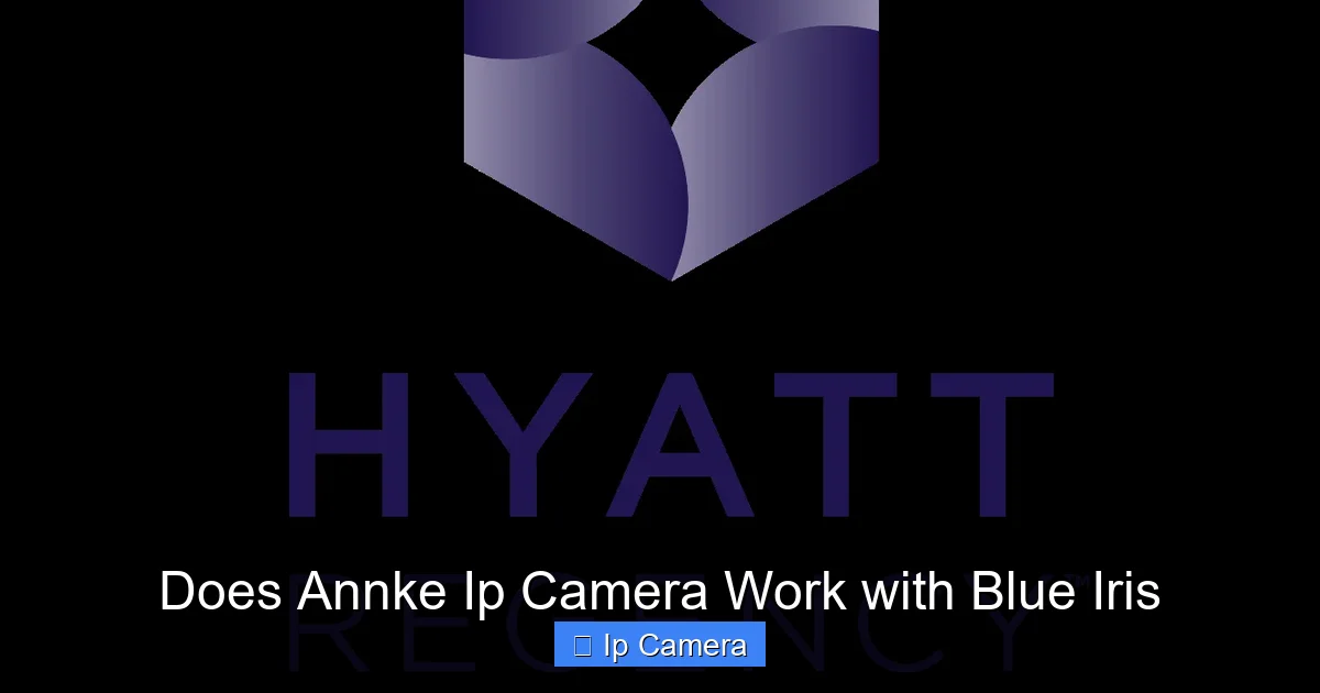 Does Annke Ip Camera Work with Blue Iris