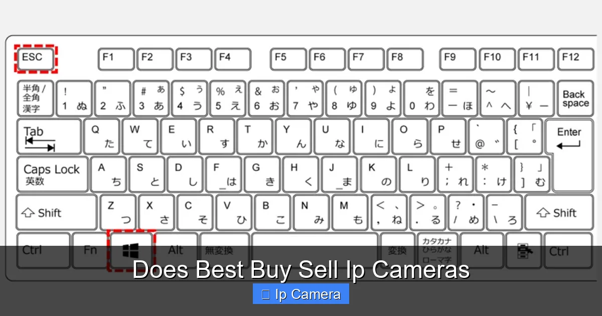Does Best Buy Sell Ip Cameras
