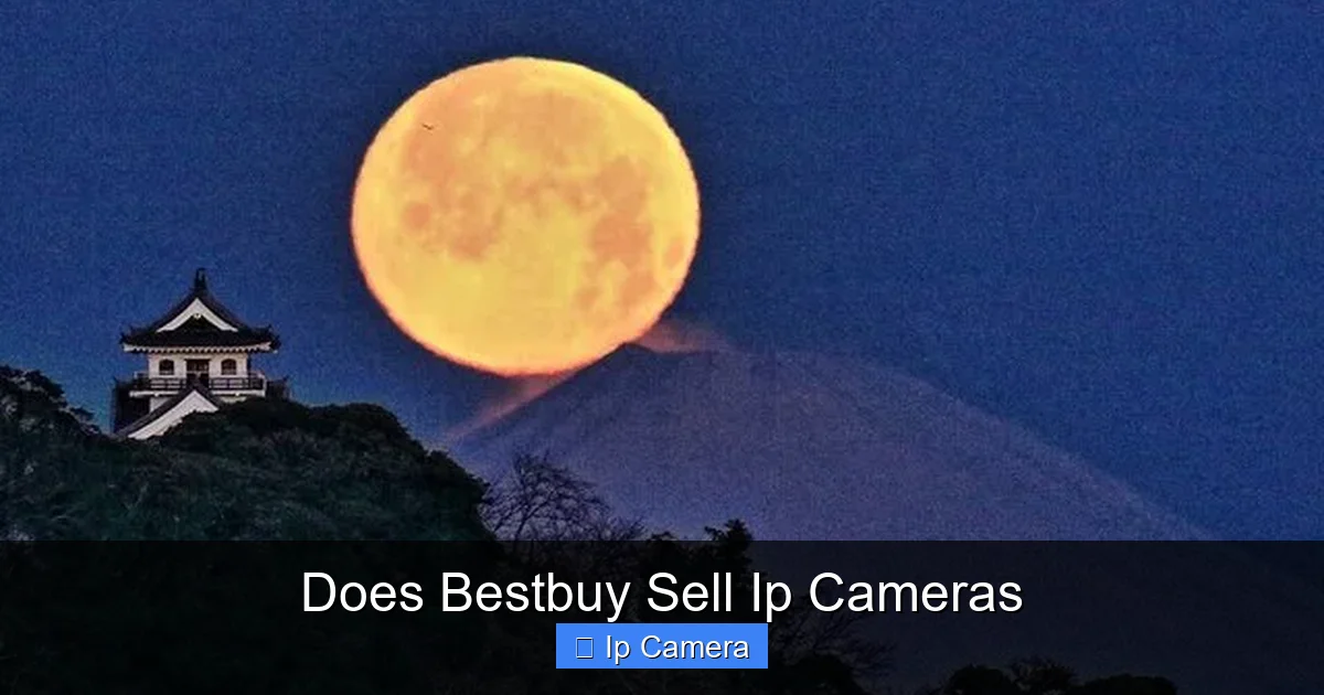 Does Bestbuy Sell Ip Cameras