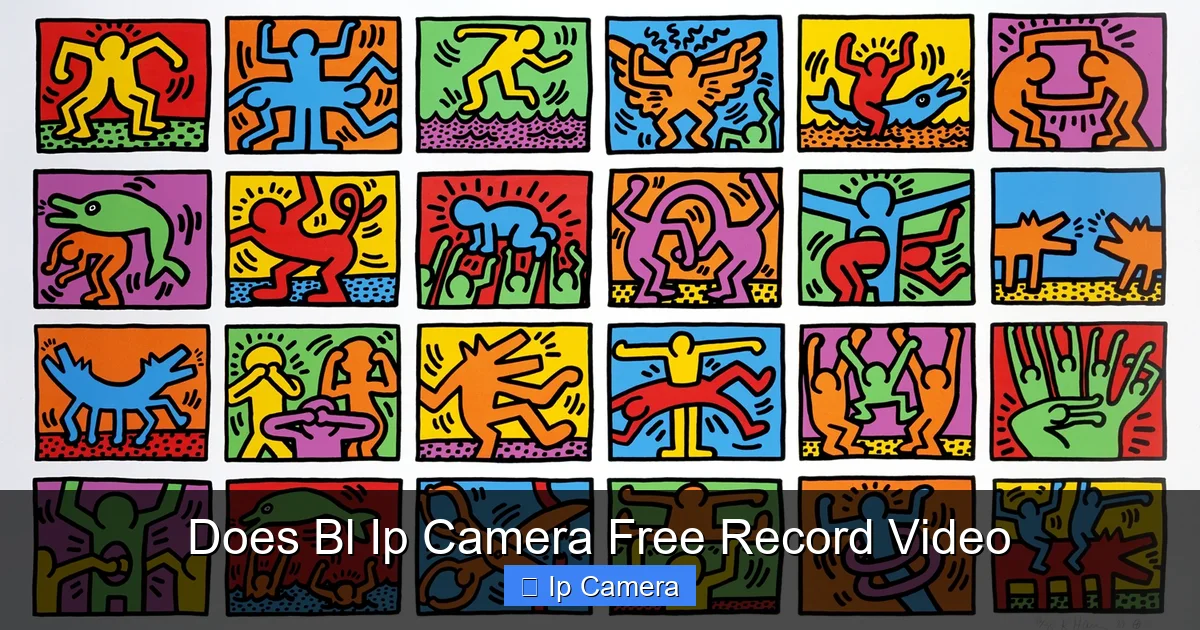 Does Bl Ip Camera Free Record Video