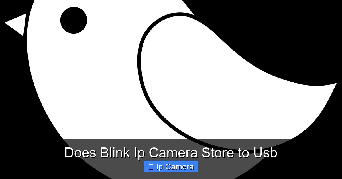 Does Blink Ip Camera Store to Usb