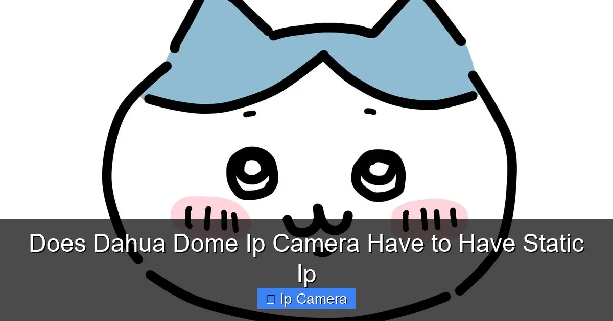 Does Dahua Dome Ip Camera Have to Have Static Ip