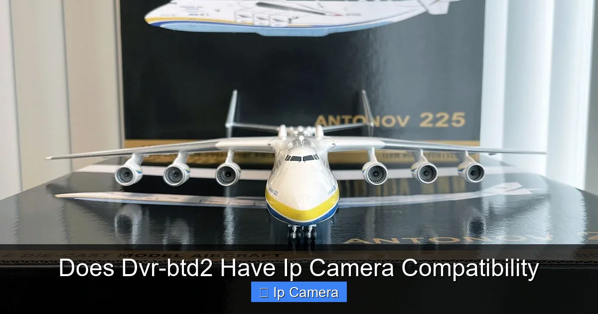 Does Dvr-btd2 Have Ip Camera Compatibility