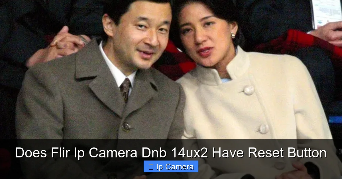 Does Flir Ip Camera Dnb 14ux2 Have Reset Button