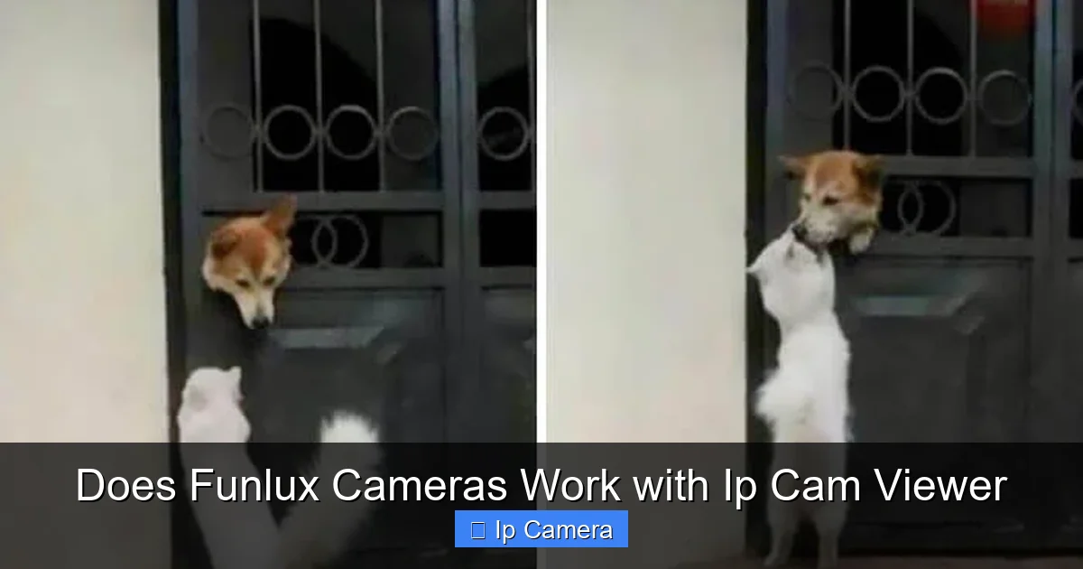 Does Funlux Cameras Work with Ip Cam Viewer