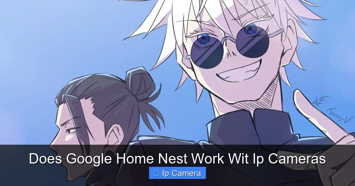 Does Google Home Nest Work Wit Ip Cameras