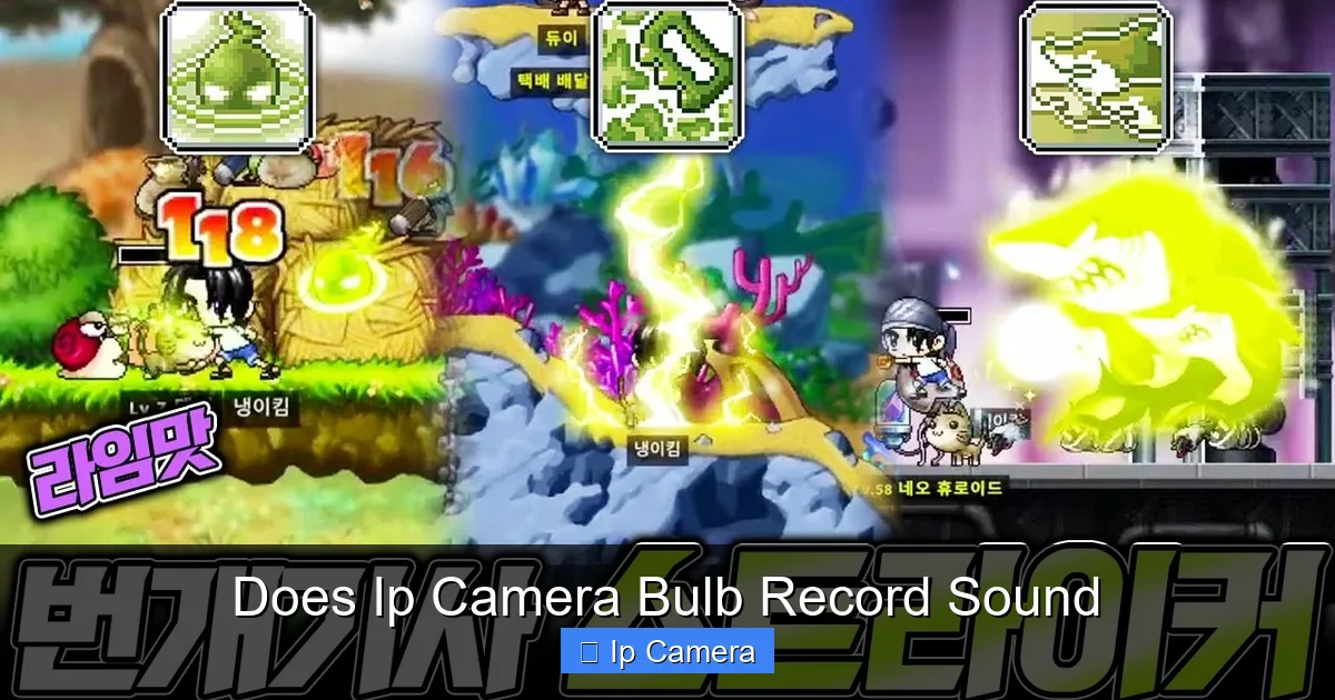 Does Ip Camera Bulb Record Sound