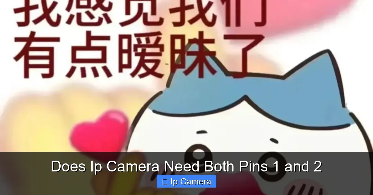 Does Ip Camera Need Both Pins 1 and 2