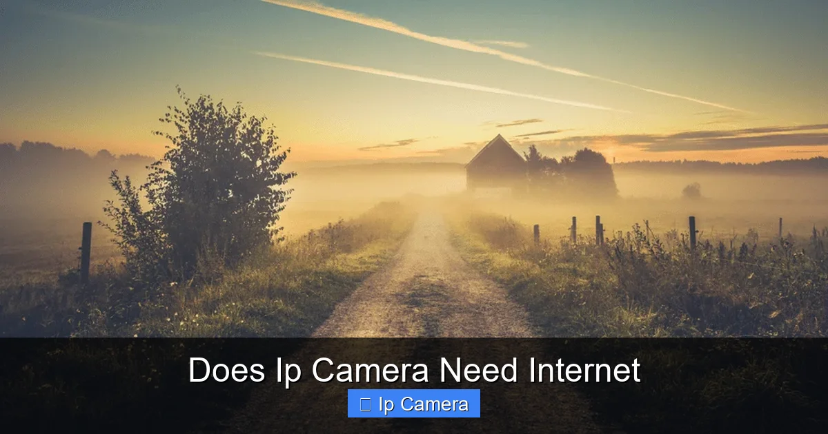 Does Ip Camera Need Internet