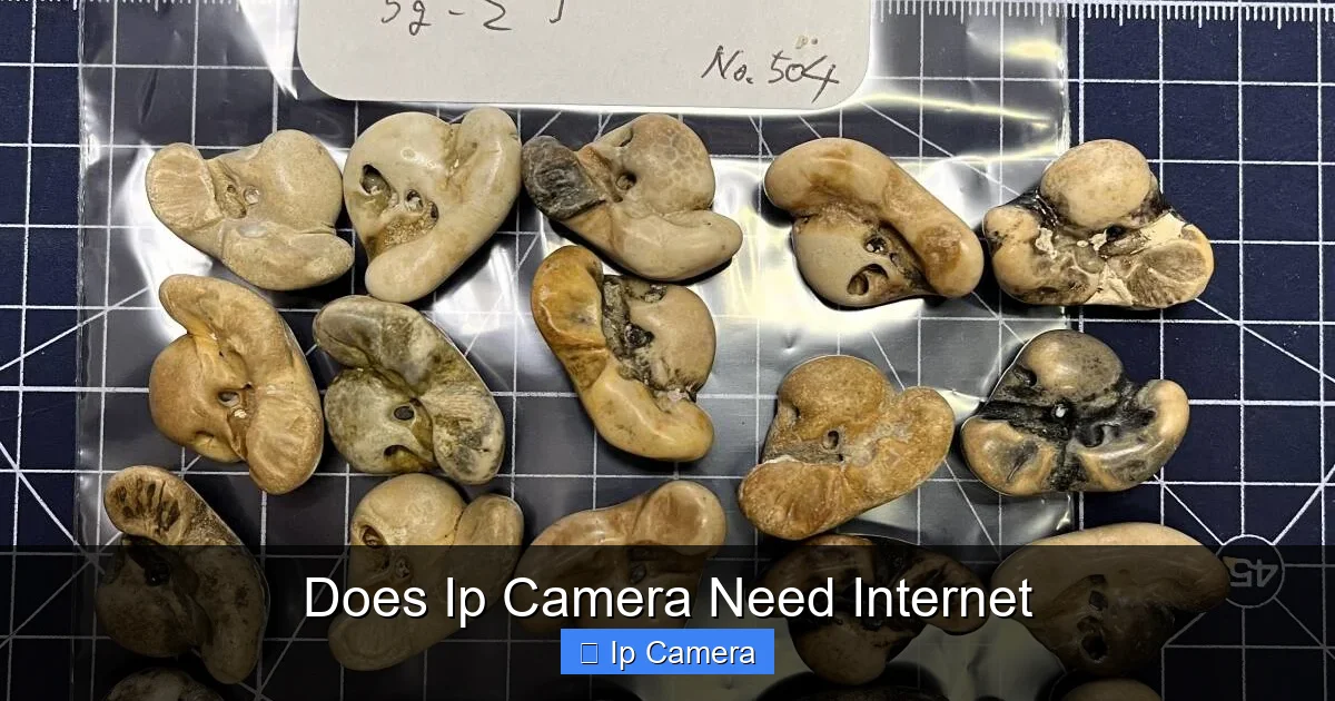 Does Ip Camera Need Internet