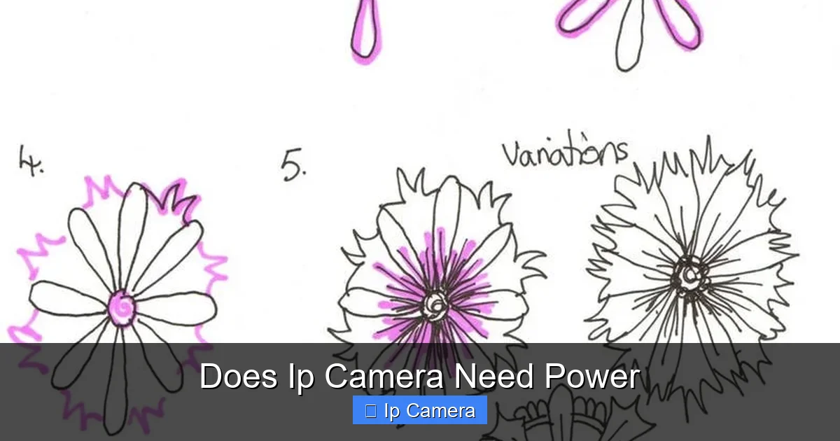 Does Ip Camera Need Power