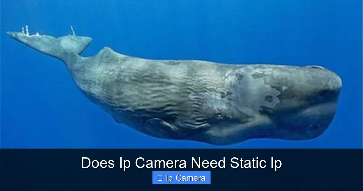 Does Ip Camera Need Static Ip