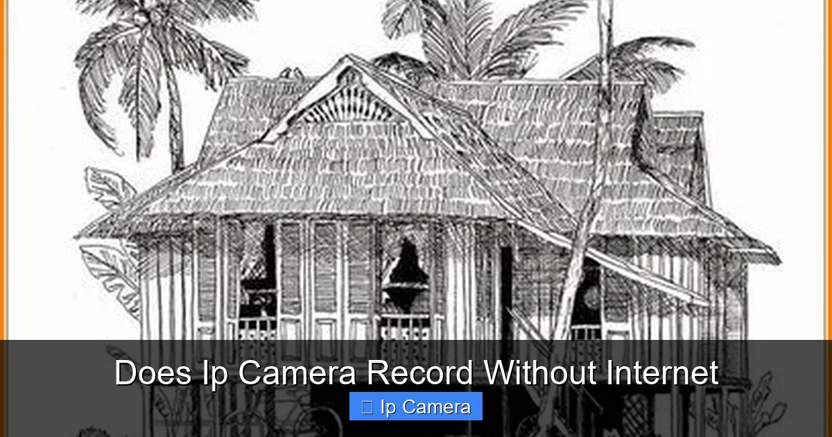 Does Ip Camera Record Without Internet