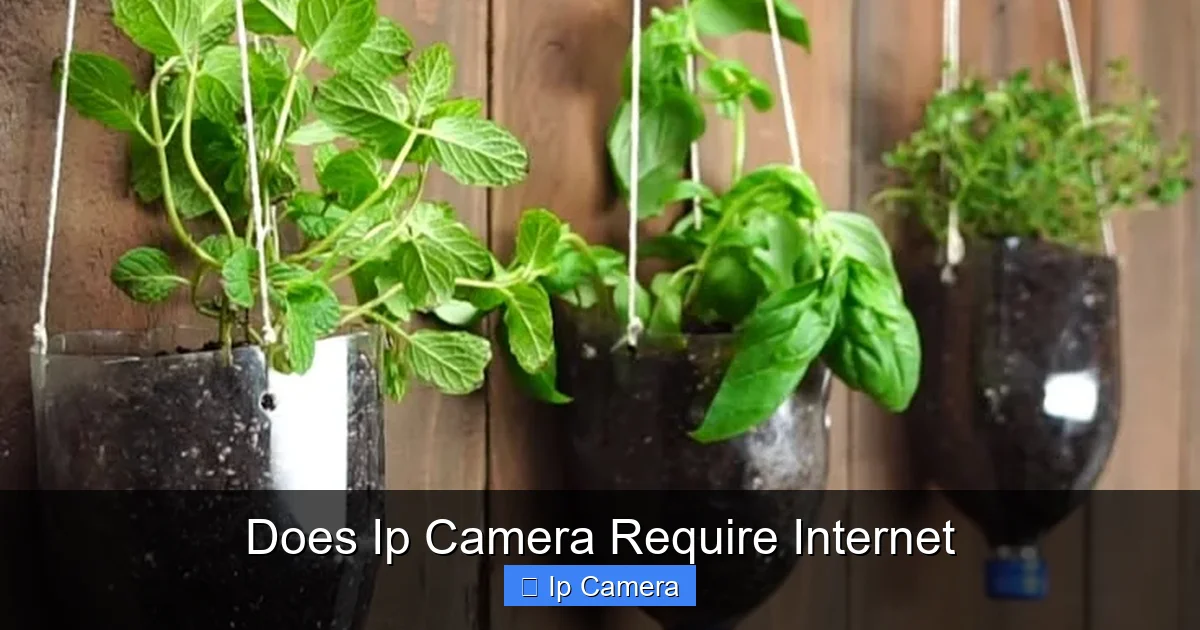 Does Ip Camera Require Internet