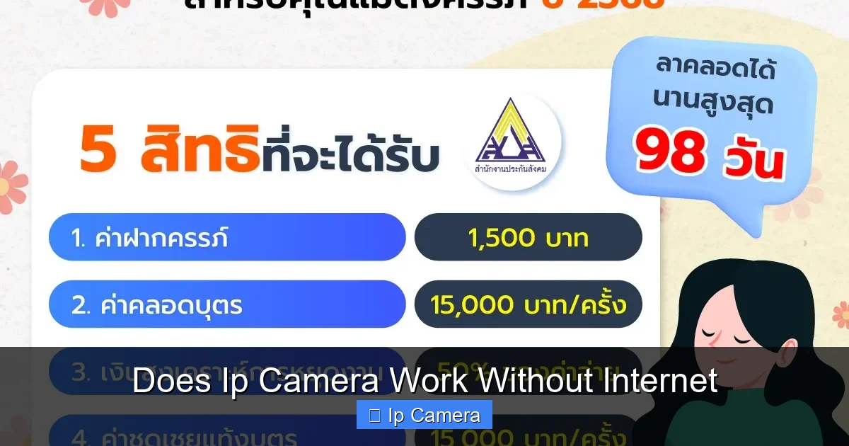 Does Ip Camera Work Without Internet