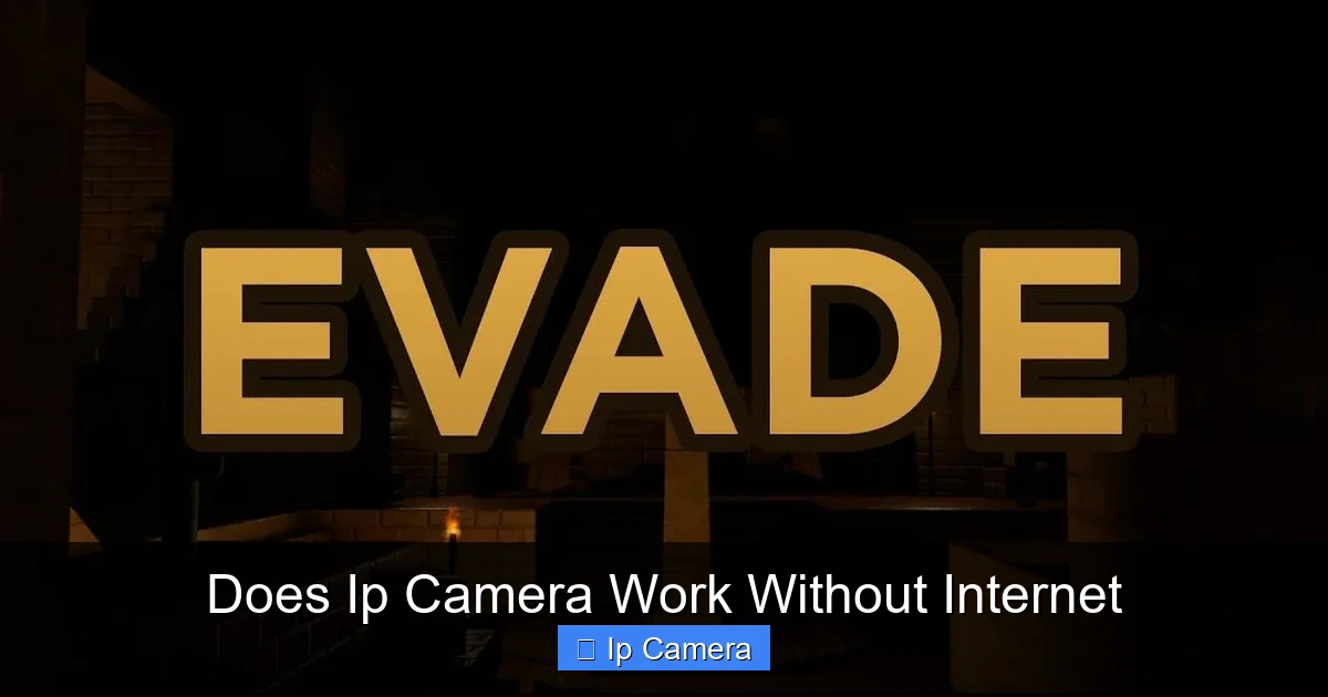 Does Ip Camera Work Without Internet