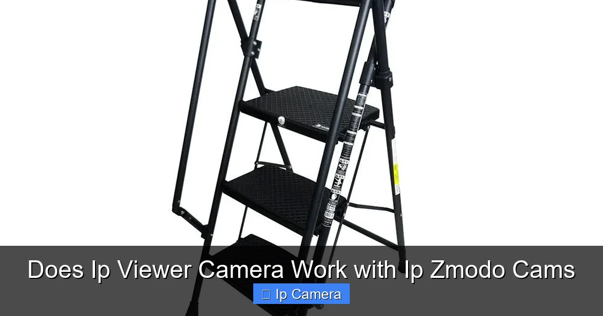 Does Ip Viewer Camera Work with Ip Zmodo Cams