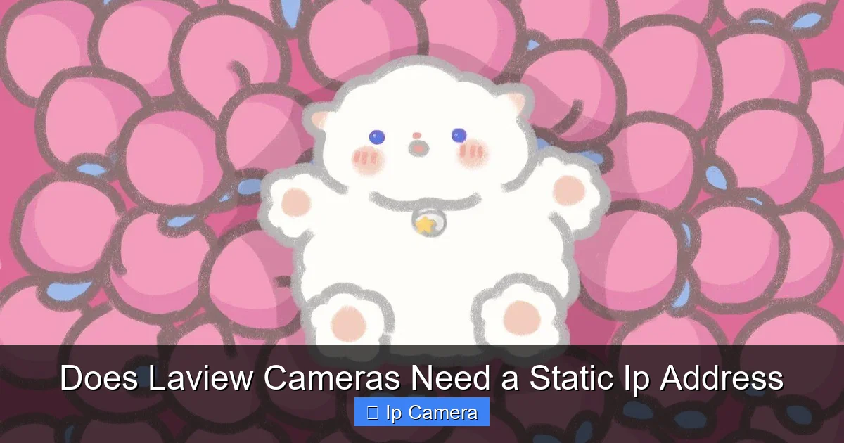 Does Laview Cameras Need a Static Ip Address