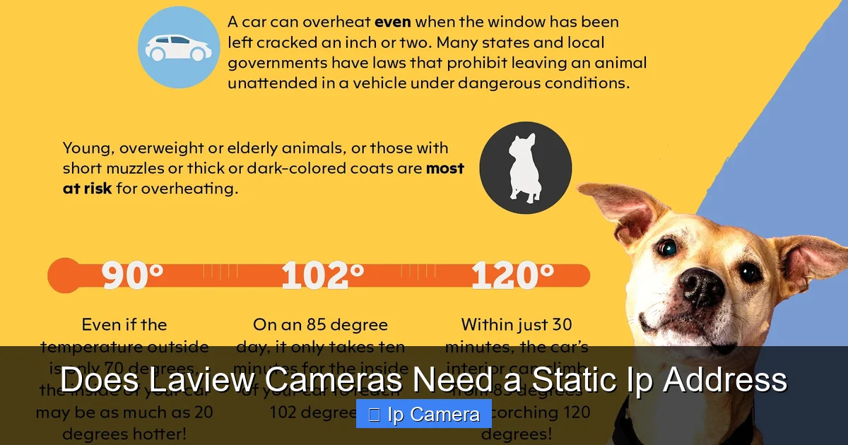 Does Laview Cameras Need a Static Ip Address
