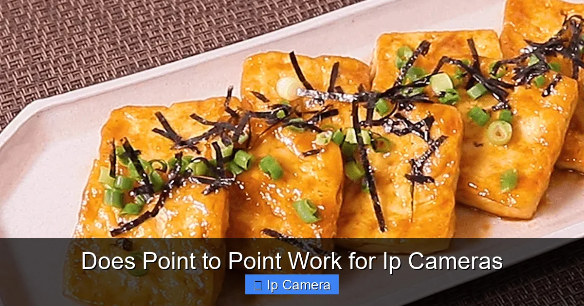 Does Point to Point Work for Ip Cameras