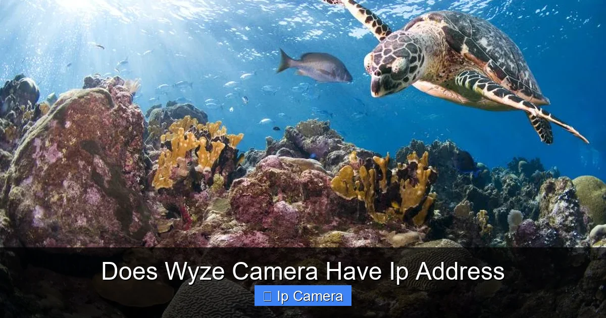 Does Wyze Camera Have Ip Address