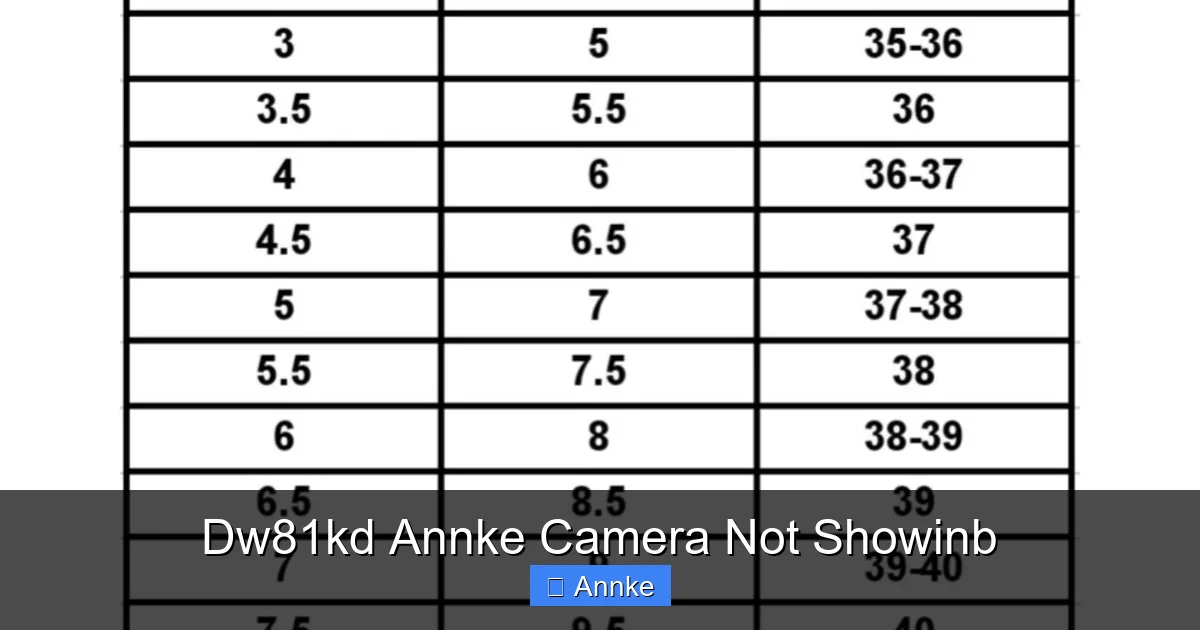 Dw81kd Annke Camera Not Showinb