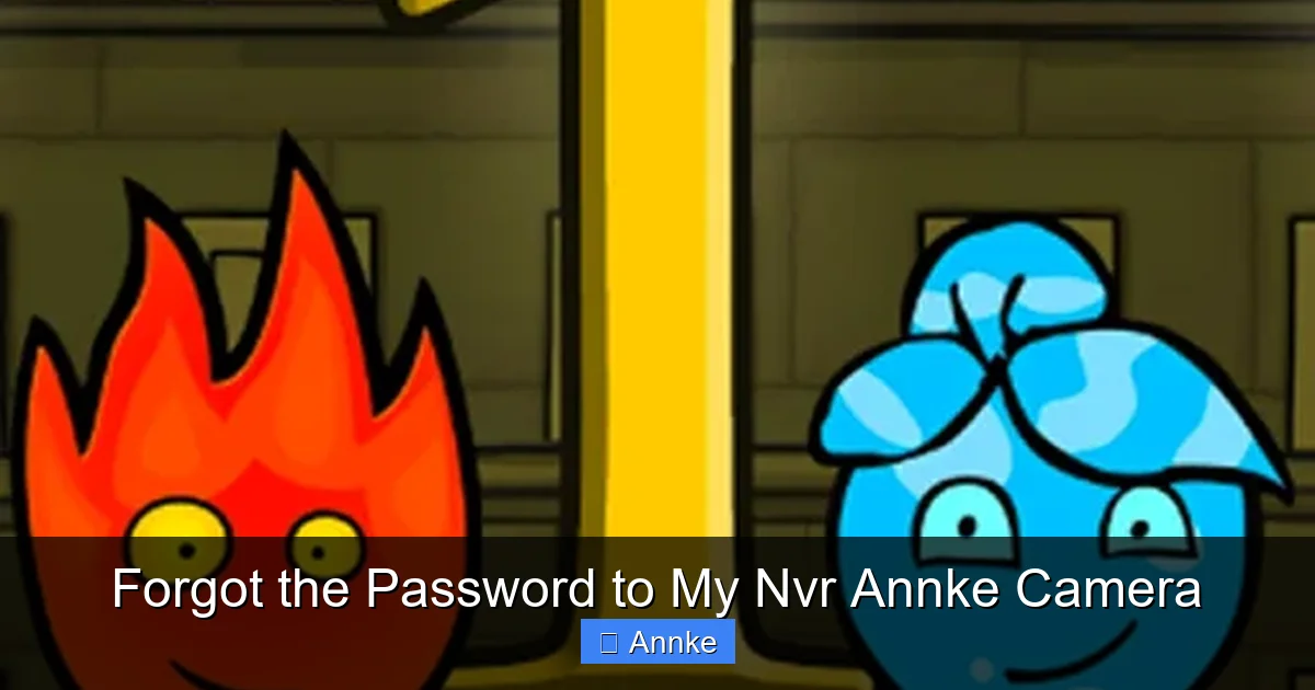 Forgot the Password to My Nvr Annke Camera