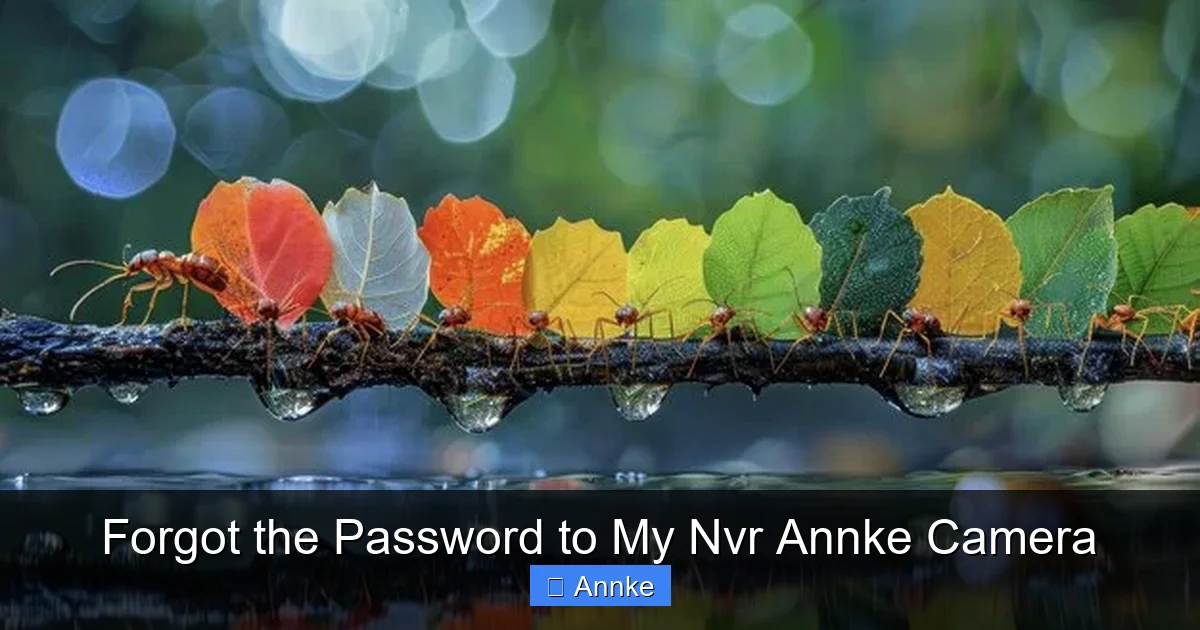 Forgot the Password to My Nvr Annke Camera