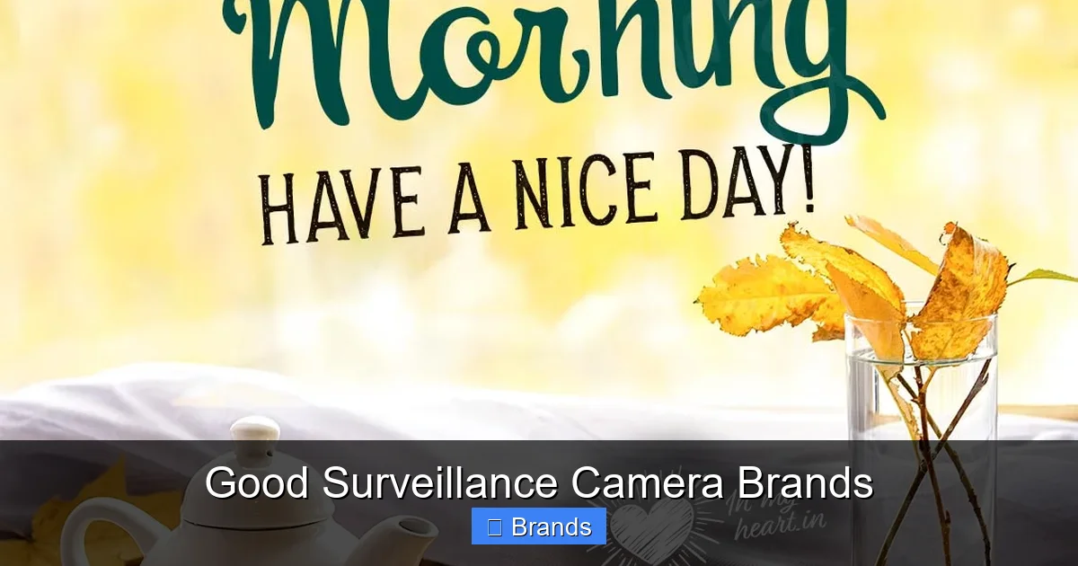 Good Surveillance Camera Brands