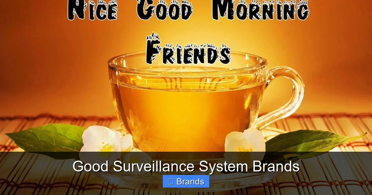Good Surveillance System Brands