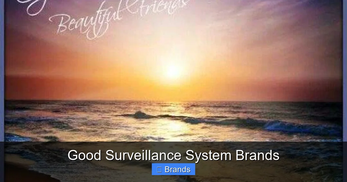 Good Surveillance System Brands