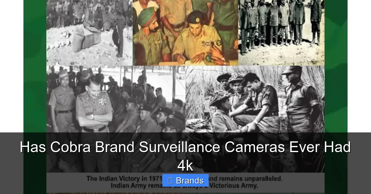 Has Cobra Brand Surveillance Cameras Ever Had 4k