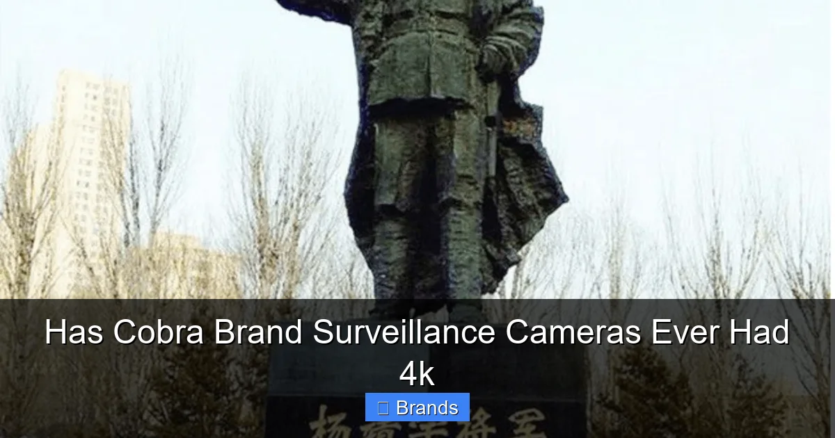 Has Cobra Brand Surveillance Cameras Ever Had 4k