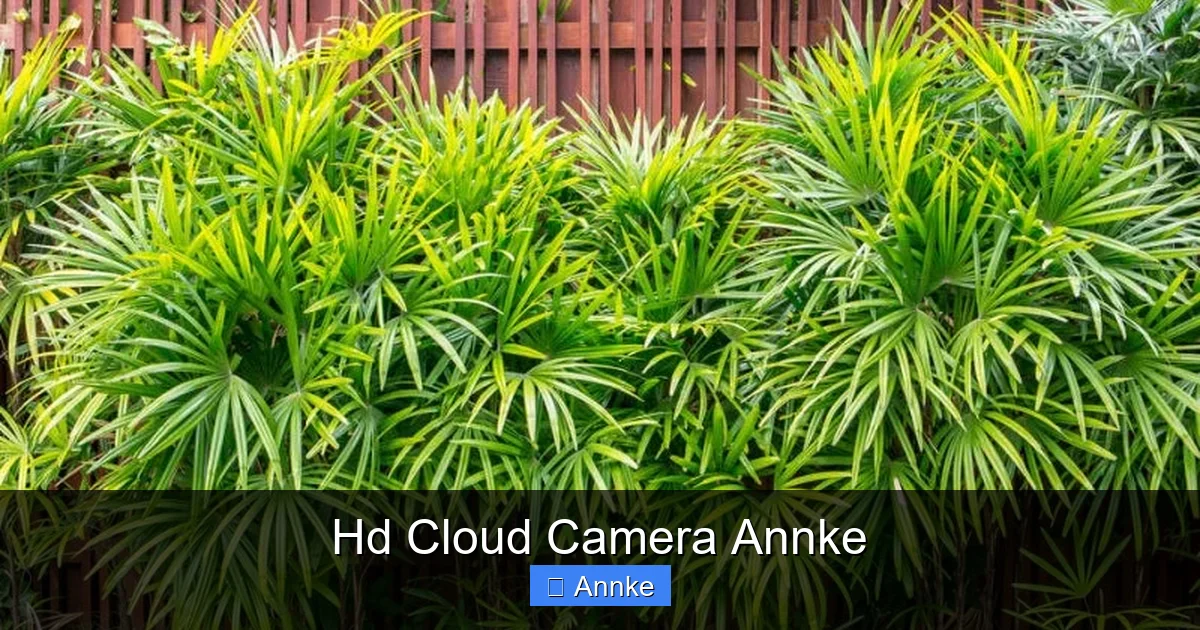 Hd Cloud Camera Annke