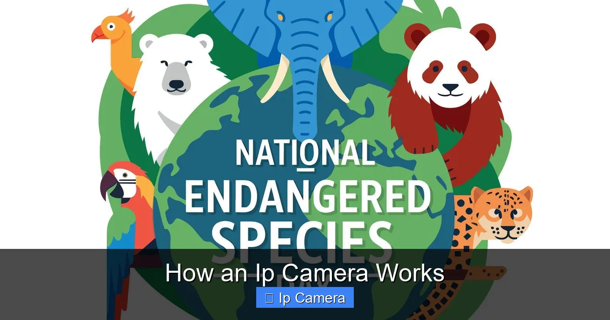 How an Ip Camera Works