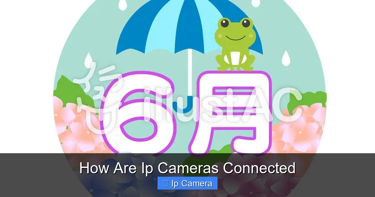 How Are Ip Cameras Connected