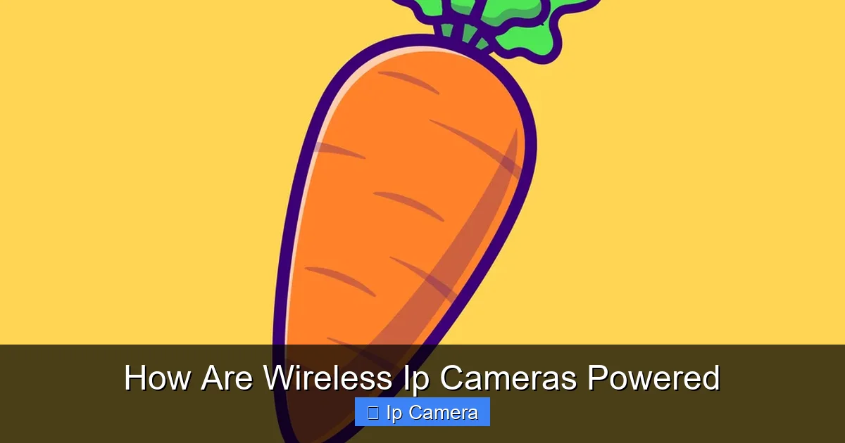 How Are Wireless Ip Cameras Powered