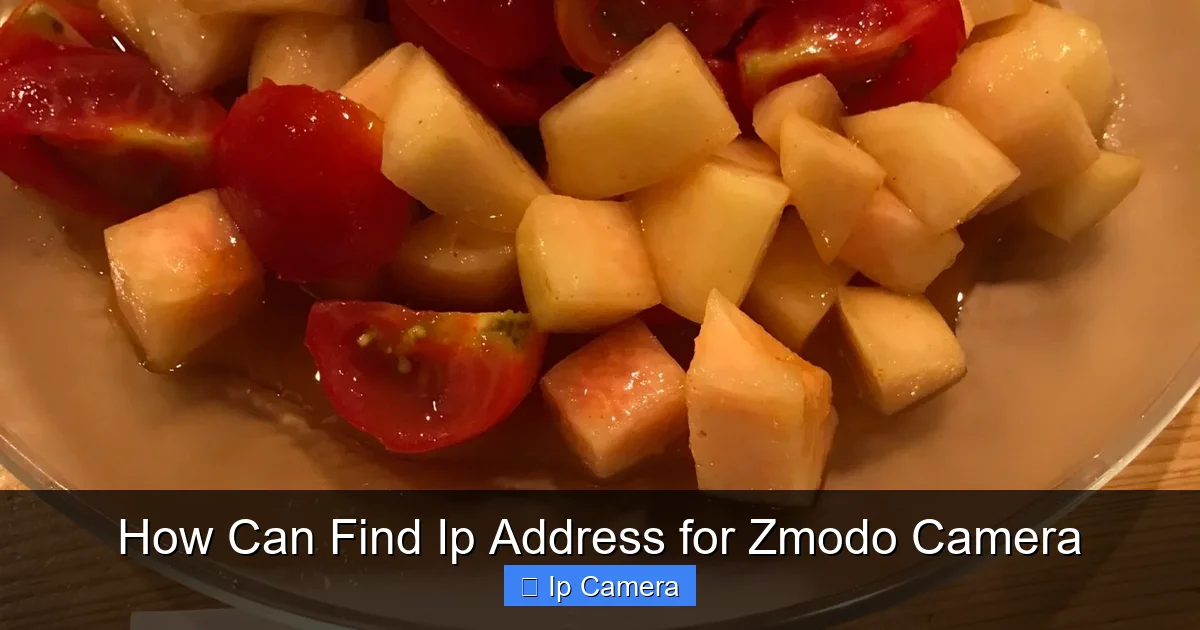 How Can Find Ip Address for Zmodo Camera
